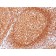 CD79a(JCB117), CF568 conjugate, 0.1mg/mL