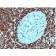 bcl-2(124), CF568 conjugate, 0.1mg/mL