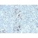 Kappa Light Chain(TB28-2), CF568 conjugate, 0.1mg/mL