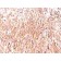 DOG-1(DOG1.1), CF568 conjugate, 0.1mg/mL