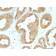 Glucose Regulated Protein 94 (GRP94) (9G10.F8.2), CF568 conjugate, 0.1mg/mL