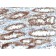 TOX3(TOX3/1123), CF568 conjugate, 0.1mg/mL