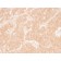 Adipophilin / Perilipin-2 (Marker of Obesity) (ADFP/1366), CF568 conjugate, 0.1mg/mL