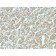 Ep-CAM / CD326 (Epithelial Marker) (EGP40/1555R), CF568 conjugate, 0.1mg/mL