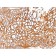 CD9 (TSPAN29) (Motility-Related Protein-1)(CD9/1619), CF568 conjugate, 0.1mg/mL
