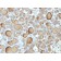Thyroglobulin (Thyroidal Cell Marker) (TGB/1970R), CF568 conjugate, 0.1mg/mL