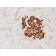Insulin / IRDN (beta-Cell & Insulinoma Marker) (IRDN/1980R), CF568 conjugate, 0.1mg/mL