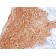 Cytokeratin 16 (KRT16) (Suprabasal Keratinocyte Marker) (KRT16/2043R), CF568 conjugate, 0.1mg/mL