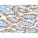 Cytokeratin 8 (KRT8) (KRT8/2174R), CF568 conjugate, 0.1mg/mL