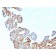 Cell Division Cycle 34 homolog(CPTC-CDC34-2), CF568 conjugate, 0.1mg/mL