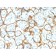 Insulin Receptor Alpha (INSR/2277R), CF568 conjugate, 0.1mg/mL