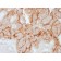 MUC16 / CA125 (Ovarian Carcinoma Marker) (OCA125/2349R), CF568 conjugate, 0.1mg/mL