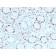 SOX4 (Master Regulator of Epithelial-Mesenchymal Transition) (SOX4/2540), CF568 conjugate, 0.1mg/mL
