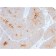 Secretory Component / ECM1 (ECM1/2889R), CF568 conjugate, 0.1mg/mL