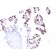 RNA Polymerase II(CTD4H8), CF568 conjugate, 0.1mg/mL