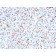 SOX9 / SRY-box 9(SOX9/3141R), CF568 conjugate, 0.1mg/mL