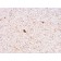 Serum Amyloid P / APCS(APCS/3240), CF568 conjugate, 0.1mg/mL