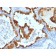 Cytokeratin 8/18(C-43 + DC10), CF740 conjugate, 0.1mg/mL