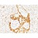 p53(TRP/817), CF740 conjugate, 0.1mg/mL