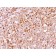 CD79a(JCB117 + HM47/A9), CF740 conjugate, 0.1mg/mL