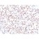 MiTF (Microphthalmia Transcription Factor)(MITF/915), CF740 conjugate, 0.1mg/mL