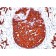 Cytokeratin, pan(KRTL/1077 + KRTH/1076), CF740 conjugate, 0.1mg/mL