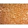 Arginase 1 (Hepatocellular Carcinoma Marker) (ARG1/1126) , CF740 conjugate, 0.1mg/mL