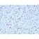 OLIG2 (Marker of Glial Brain Tumors) (OLIG2/2400), CF740 conjugate, 0.1mg/mL