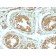 B7-H4 (Immuno-Inhibitory Protein) (B7H4/2652R), CF740 conjugate, 0.1mg/mL
