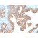 AMACR / p504S (Prostate Cancer Marker) (AMACR/2748R), CF740 conjugate, 0.1mg/mL