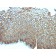 Desmoglein-3 (Squamous Cell Marker)(DSG3/2839), CF740 conjugate, 0.1mg/mL