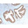 Cycloxygenase-2 (COX-2)(COX2/3232R), CF740 conjugate, 0.1mg/mL