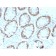 CDX2 / Caudal Type Homeobox 2 (GI Epithelial Marker)(rCDX2/1690), CF740 conjugate, 0.1mg/mL