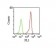 CD46(122.2), CF488A conjugate, 0.1mg/mL