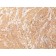 Muscle Specific Actin(HHF35), CF488A conjugate, 0.1mg/mL