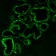 Estrogen Receptor(ER506), CF488A conjugate, 0.1mg/mL