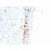 CD1a(C1A/711), CF488A conjugate, 0.1mg/mL