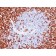 CD45RO(T200/797), CF488A conjugate, 0.1mg/mL