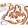 Cytokeratin 18(KRT18/836), CF488A conjugate, 0.1mg/mL