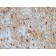 GFAP(GA-5 + ASTRO/789), CF488A conjugate, 0.1mg/mL