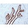 Cytokeratin 7(KRT7/760 + KRT7/903), CF488A conjugate, 0.1mg/mL