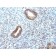 CD46(197-2B1), CF488A conjugate, 0.1mg/mL