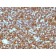 CD45RA(PTPRC/1131), CF488A conjugate, 0.1mg/mL