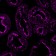 Villin (GI-Mucosal & Urogenital Brush Border Marker) (VIL1/1325), CF488A conjugate, 0.1mg/mL