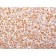 ACTH (Adrenocorticotrophic Hormone) (N-Terminal) (Pituitary Marker) (r57), CF488A conjugate, 0.1mg/mL