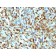 Factor XIIIa (Coagulation Factor XIIIA Chain) (F13A1/1448), CF488A conjugate, 0.1mg/mL