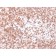 CD45 / LCA (B-Cell Marker) (PTPRC/1975R), CF488A conjugate, 0.1mg/mL