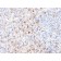 Tyrosinase (Melanoma Marker) (TYR/2024R), CF488A conjugate, 0.1mg/mL