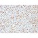 PU.1 (SPI-1) (B-Cell Marker) (PU1/2146), CF488A conjugate, 0.1mg/mL