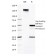 CD50 / ICAM3(CG106), CF488A conjugate, 0.1mg/mL